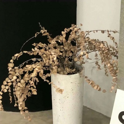 兽设动态姿势绘画参考兽圈群